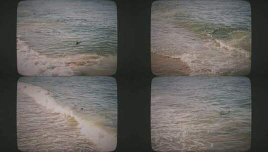 海狮在海边游泳8mm胶片风格高清在线视频素材下载