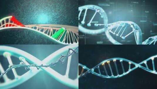 DNA、基因、生物结构高清在线视频素材下载