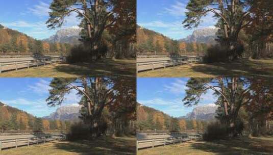 瑞士公园和高速公路景观拍摄高清在线视频素材下载