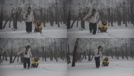 父亲用雪橇拉着小孩滑雪高清在线视频素材下载