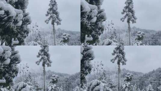 雪景 踏雪进山 雪中行 大雪高清在线视频素材下载