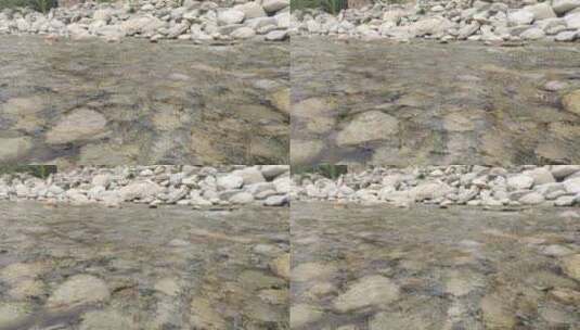 秦岭旅游黎元坪景点避暑玩水河边鹅卵石高清在线视频素材下载