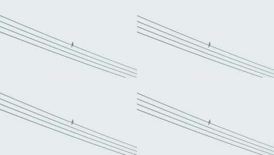 农村电线杆上的鸟儿高清在线视频素材下载