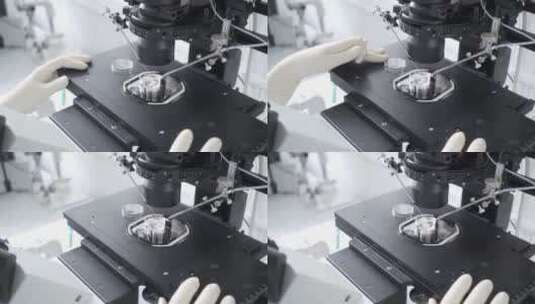 实验室显微镜。科学研究背景。高清在线视频素材下载