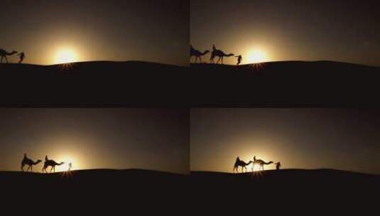 骆驼穿越沙漠高清在线视频素材下载