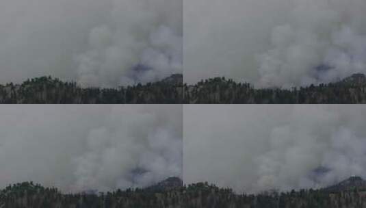 航拍 熊熊燃烧的森林大火 浓烟滚滚高清在线视频素材下载