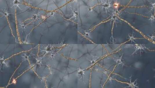生物细胞神经元细胞动画高清在线视频素材下载