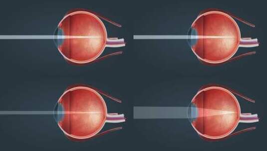 人眼 眼睛 眼球 感觉器官 视觉系统三维动画高清在线视频素材下载