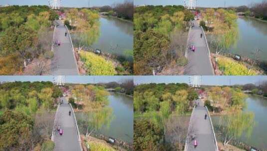上海市顾村公园高清在线视频素材下载
