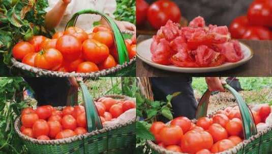 西红柿素材高清在线视频素材下载