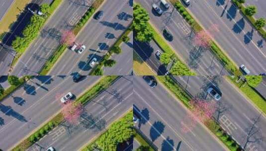 4K航拍城市快环 公路 行道树异木棉高清在线视频素材下载