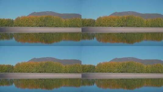 秋天湖面树林的倒影高清在线视频素材下载