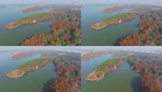 湖北武汉东湖风景区秋季风光高清在线视频素材下载