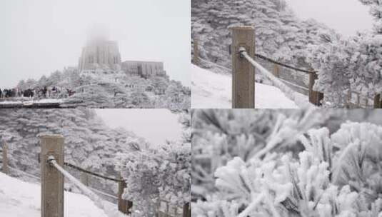 雪后黄山雾凇高清在线视频素材下载