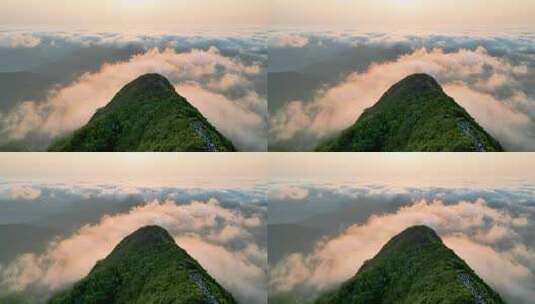 海南乐东尖峰岭热带雨林公园云海日出高清在线视频素材下载