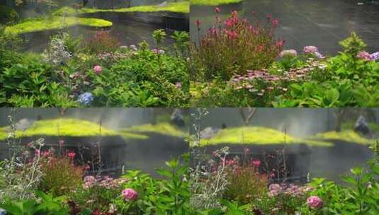 6727 花 景观 水景高清在线视频素材下载