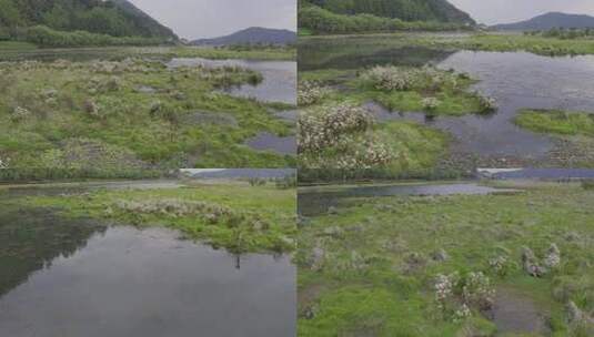 2023.04.03 腾冲北海湿地日出 云雾 仙境航拍4k_0294高清在线视频素材下载