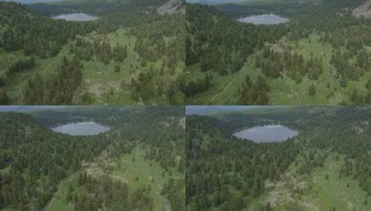 湖泊和绿色森林高清在线视频素材下载