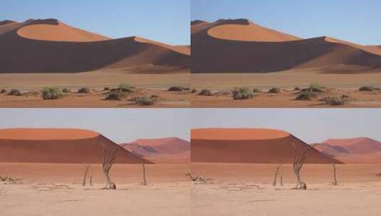 撒哈拉沙漠无人区荒漠黄昏荒凉戈壁高清在线视频素材下载