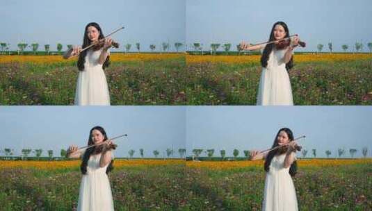 演奏小提琴高清在线视频素材下载