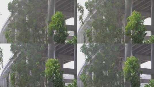 台风森林狂风暴雨风吹树林风吹雨打树木下雨高清在线视频素材下载