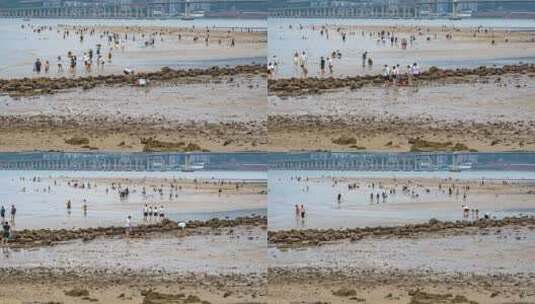 暴雨后沙滩海滩赶海的人群延时高清在线视频素材下载