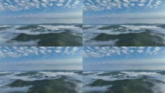 航拍黎明山林云雾缭绕高清在线视频素材下载
