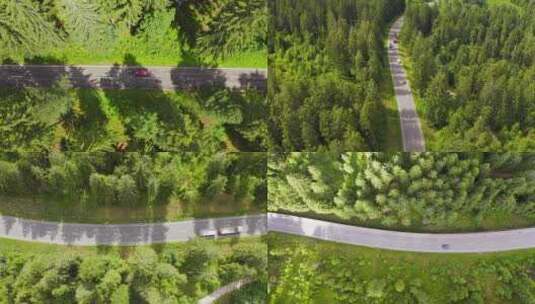 【合集】森林中行驶的汽车高清在线视频素材下载