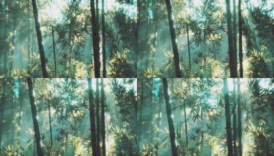4K-阳光下的唯美意境竹林高清在线视频素材下载