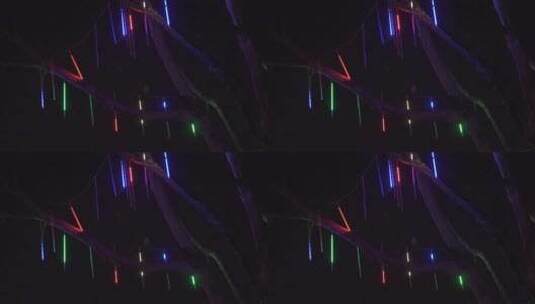 夜晚树枝上的霓虹灯高清在线视频素材下载