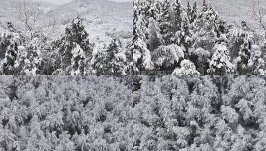 贵州黔东南大峡谷大雪冬季雪景风光银装素裹高清在线视频素材下载