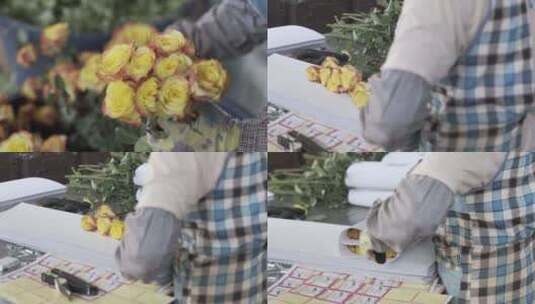 云南地拍种花基地内花农鲜花分类特写高清在线视频素材下载