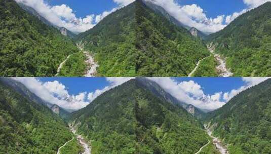 航拍四川贡嘎山区南门关沟森林河谷雪山风光高清在线视频素材下载