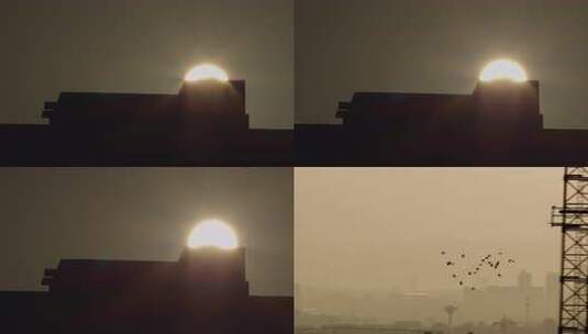 6K太阳爬升到楼顶鸟群飞过工地【套组】高清在线视频素材下载
