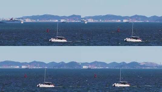 慢动作航拍大连东港蔚蓝海面帆船与海鸥共舞高清在线视频素材下载