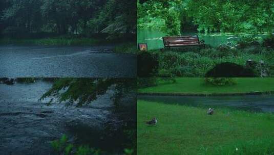 宣传片治愈系静谧下大雨杭州太子湾西湖高清在线视频素材下载