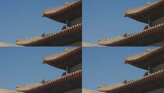 故宫宫殿屋脊兽0277高清在线视频素材下载