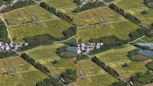 浙江金华浦江上山文化遗址公园高清在线视频素材下载