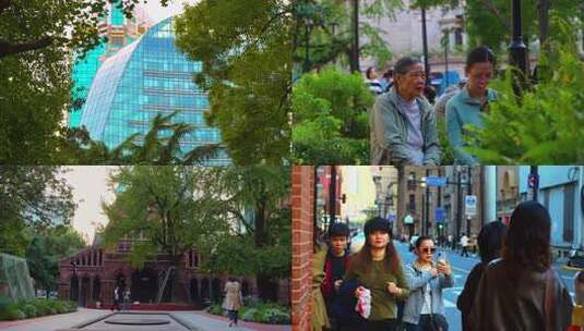 上海的秋天高清在线视频素材下载