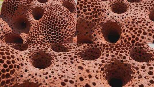 红色密集多孔蜂窝状纹理特写抽象视频高清在线视频素材下载