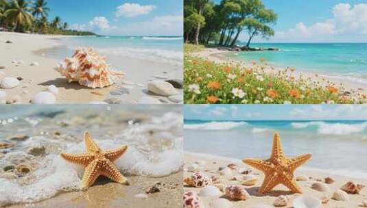 海滩繁花盛开，碧海蓝天映星沙高清在线视频素材下载