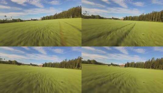 FPV穿越机无人机航拍稻田麦田田野农场牧场高清在线视频素材下载