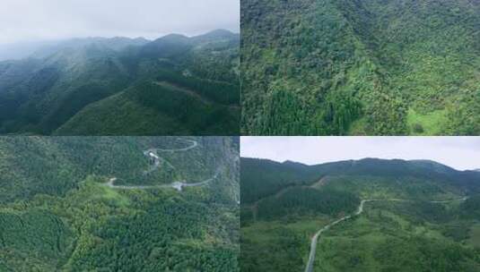 航拍武陵山绿色自然景观高清在线视频素材下载