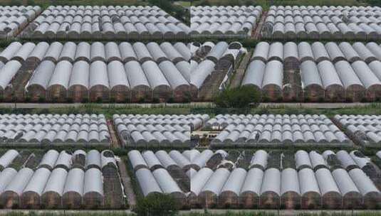 现代化农业大棚基地高清在线视频素材下载