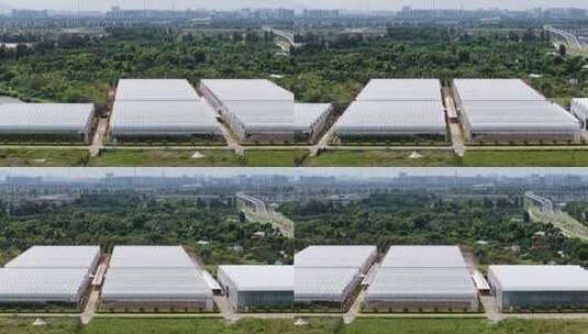 现代化农业大棚基地高清在线视频素材下载