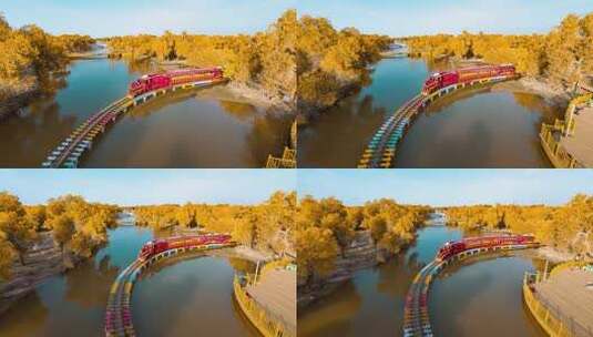 额济纳胡杨林小火车内蒙古风景秋天胡杨高清在线视频素材下载
