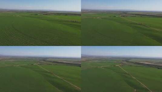 航拍喷灌圈 规模化农场 现代农业 乡村振兴高清在线视频素材下载