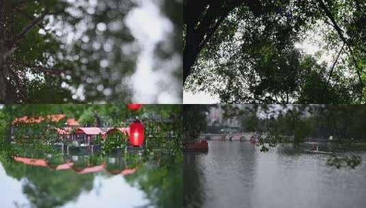 树叶光斑 湖边唯美空镜合集高清在线视频素材下载