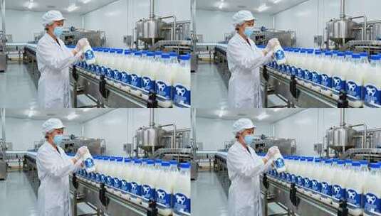 工人在牛奶生产流水线进行检查高清在线视频素材下载