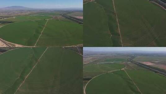 航拍规模化种植 喷灌圈 农场 现代化农业高清在线视频素材下载